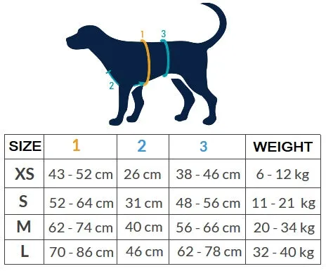 Anny.x Harness Safety (Escape Proof)