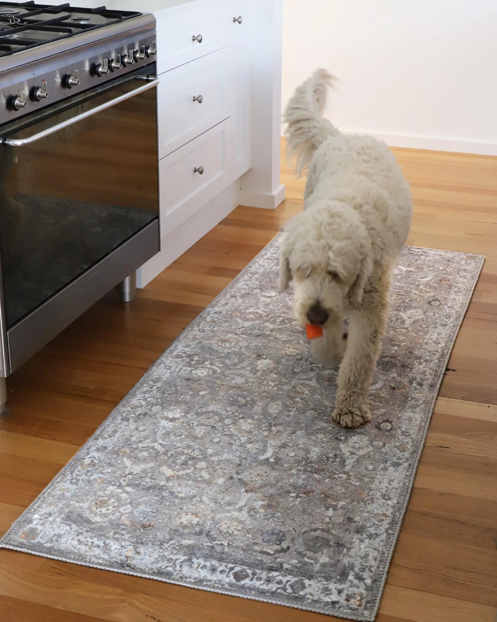 Ava Grey and Gold Traditional Distressed Washable Runner Rug*NO RETURNS UNLESS FAULTY