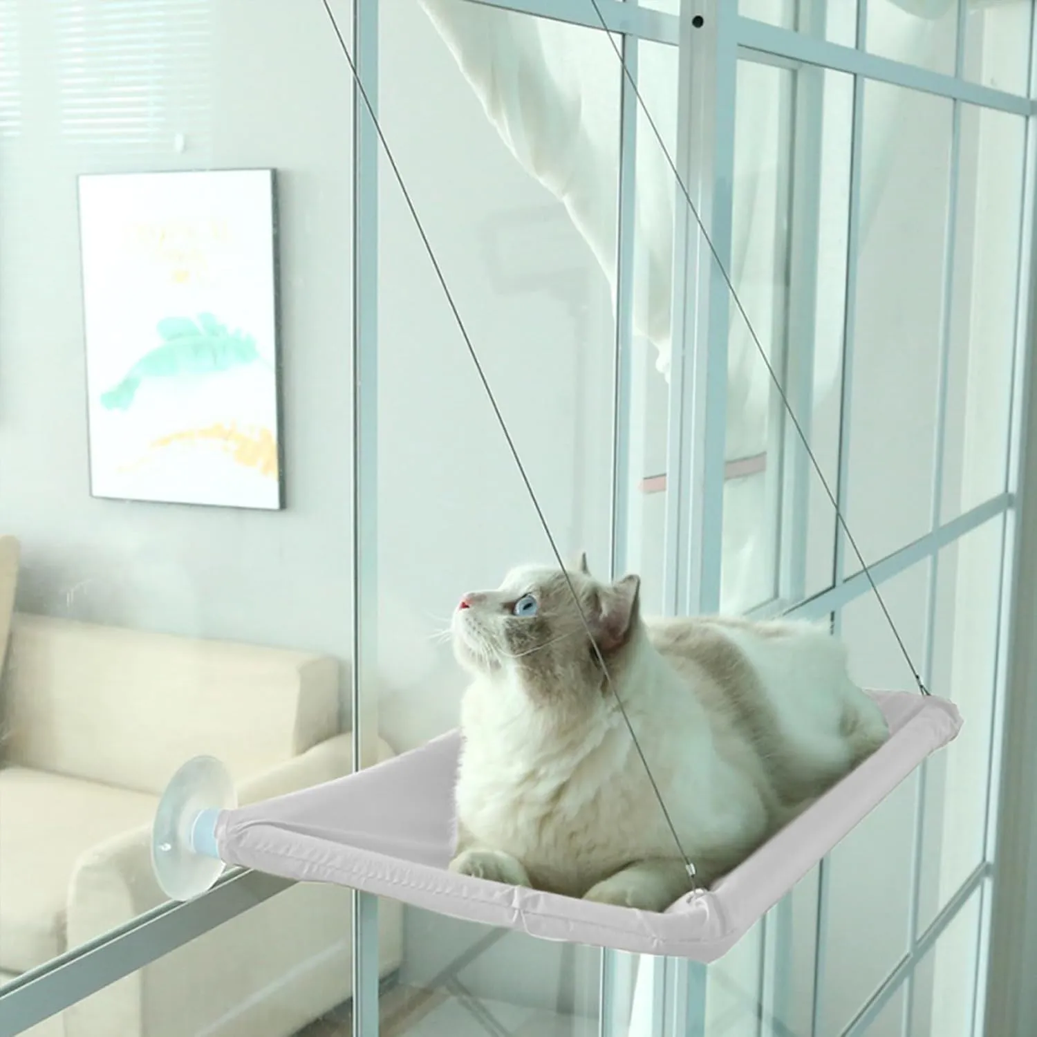 Cat Window Perch - Cozy Hammock Bed, 21.65x11.8 Inch, Heavy Duty Suction Cups, Enjoy the View (Grey With Bed Mat)