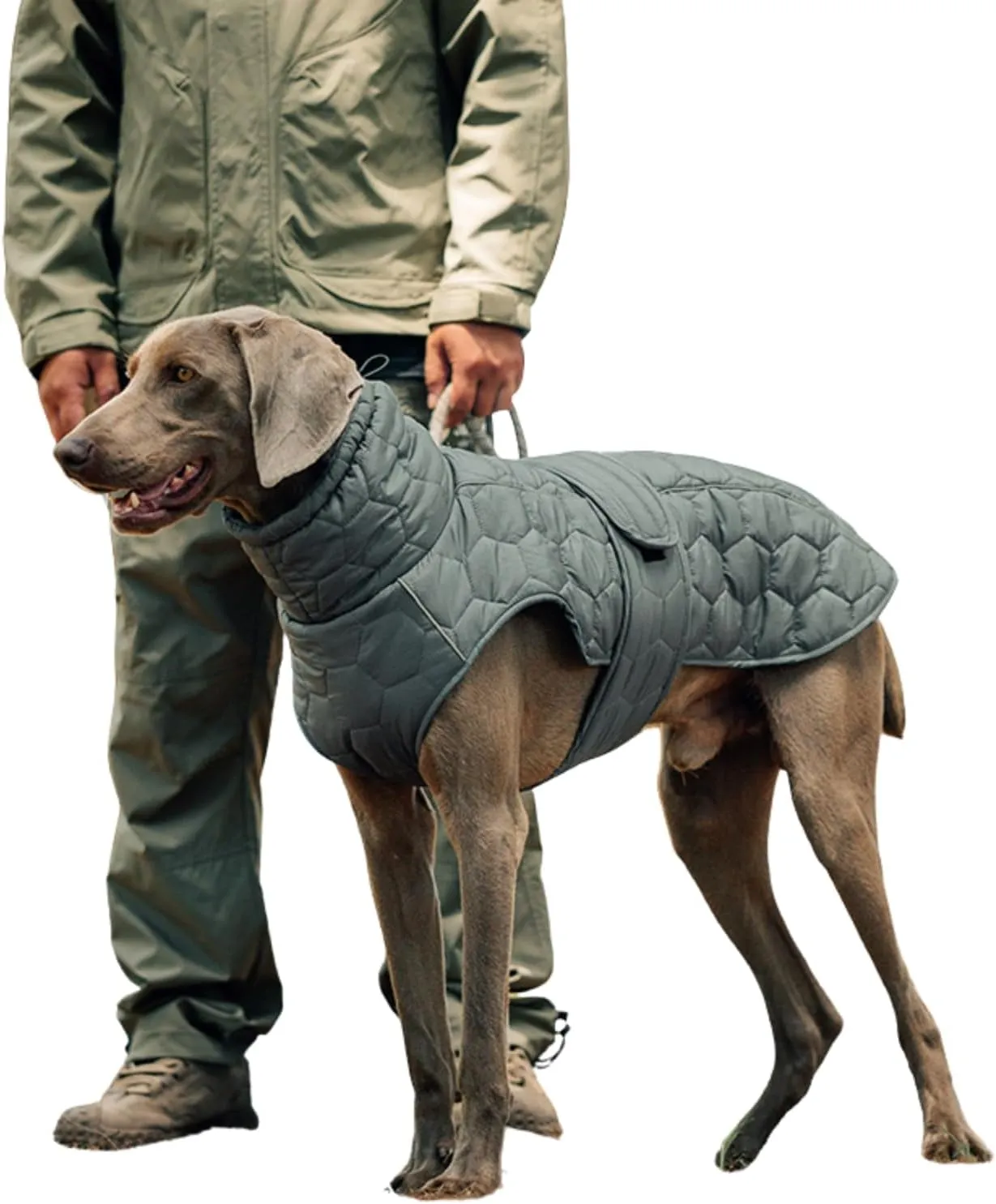 Dog Winter Coat with Fleece-Lined & Waterproof Layer, Adjustable Reflective Jacket for Medium/Large Dogs, Secure Hook-and-Loop Design (Grey,Small)