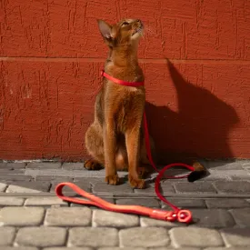Escape-Proof Training Leash - Nylon