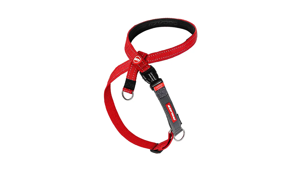 EzyDog Crosscheck Harness Red