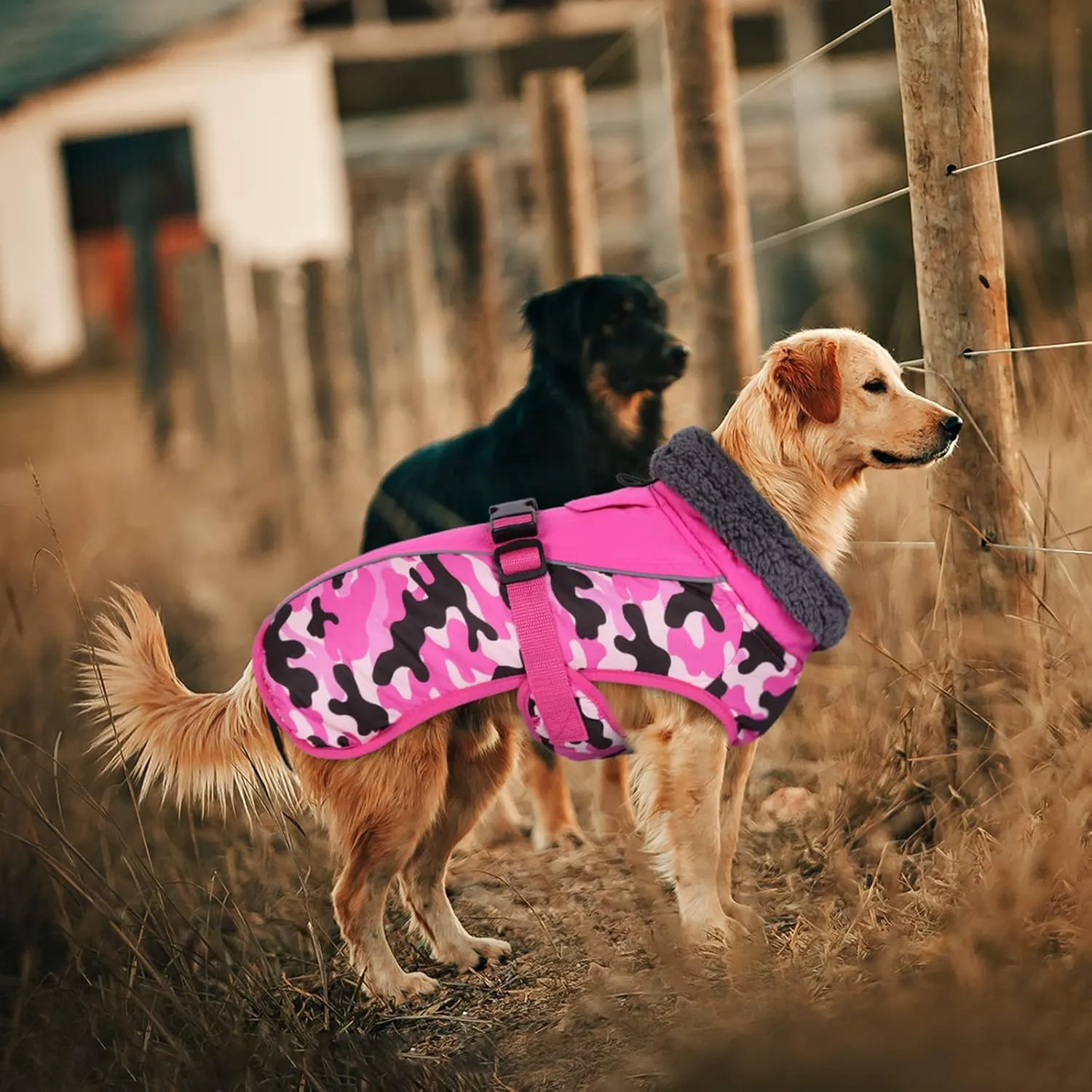 IECOii Extra Warm Dog Coat Reflective Adjustable Dog Jacket Dog Winter Coat with Buckle Fleece Turtleneck Dog Jacket for Cold Weather Soft Winter Coat for Small Medium Extra Large Dogs