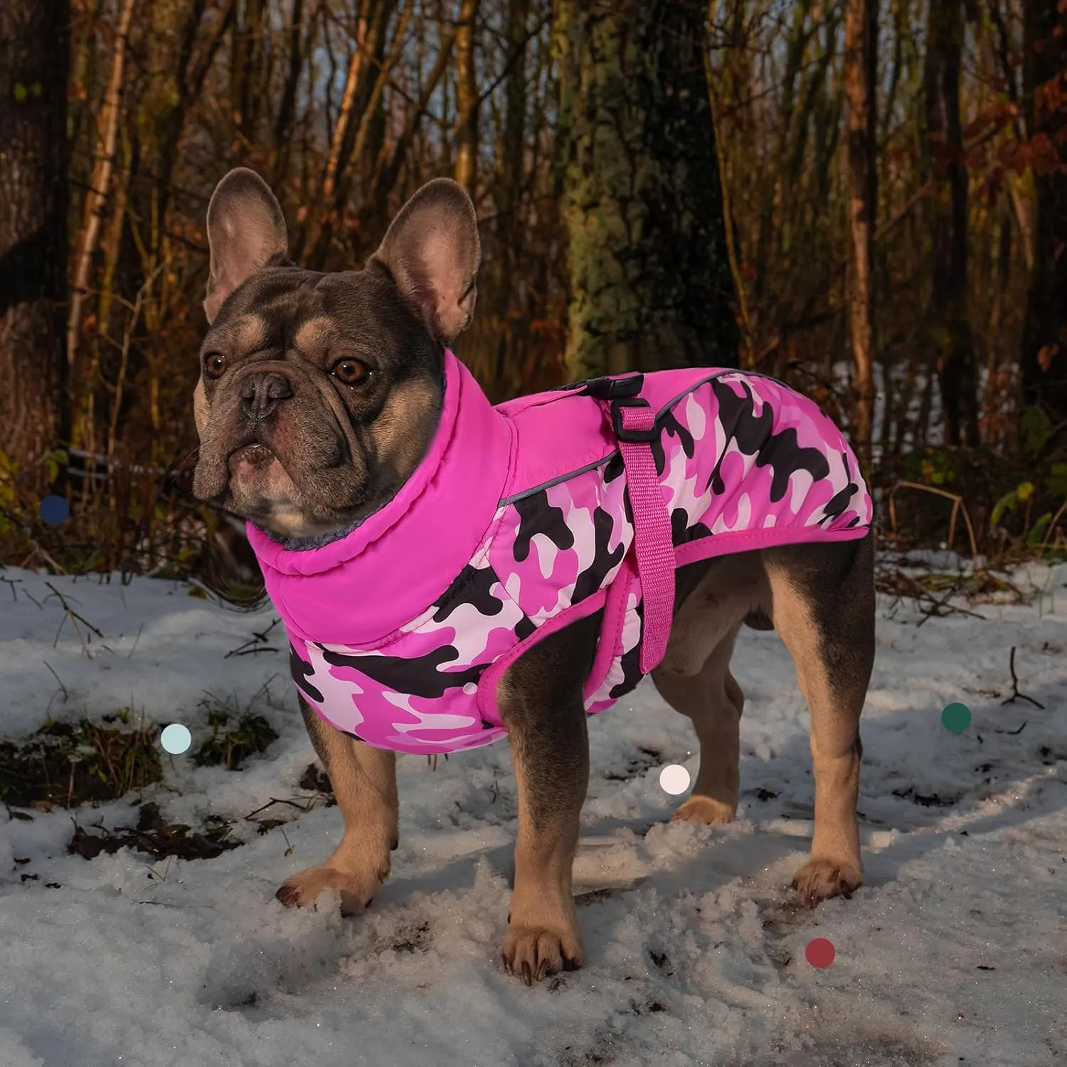 IECOii Extra Warm Dog Coat Reflective Adjustable Dog Jacket Dog Winter Coat with Buckle Fleece Turtleneck Dog Jacket for Cold Weather Soft Winter Coat for Small Medium Extra Large Dogs