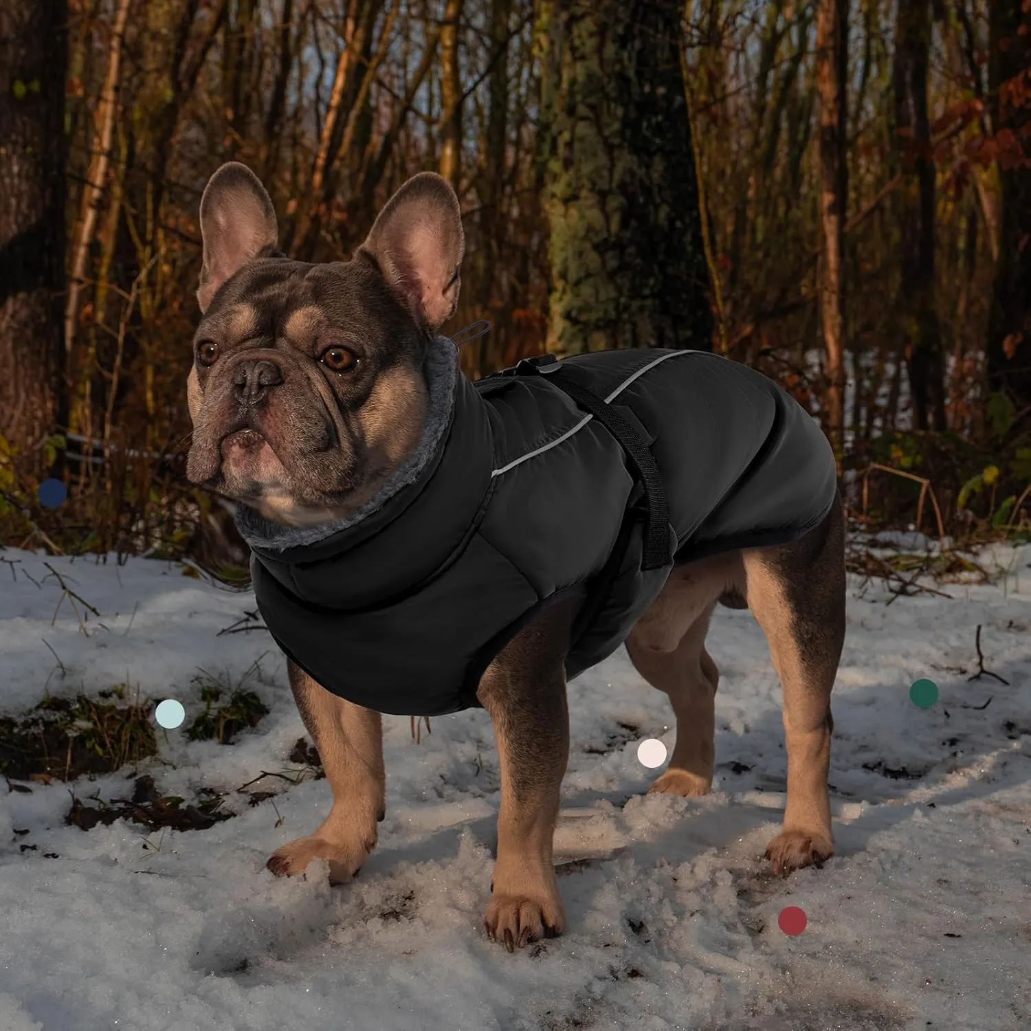 IECOii Extra Warm Reflective Adjustable Dog Jacket with Buckle Fleece Turtleneck for Small Medium Extra Large Dogs in Cold Weather
