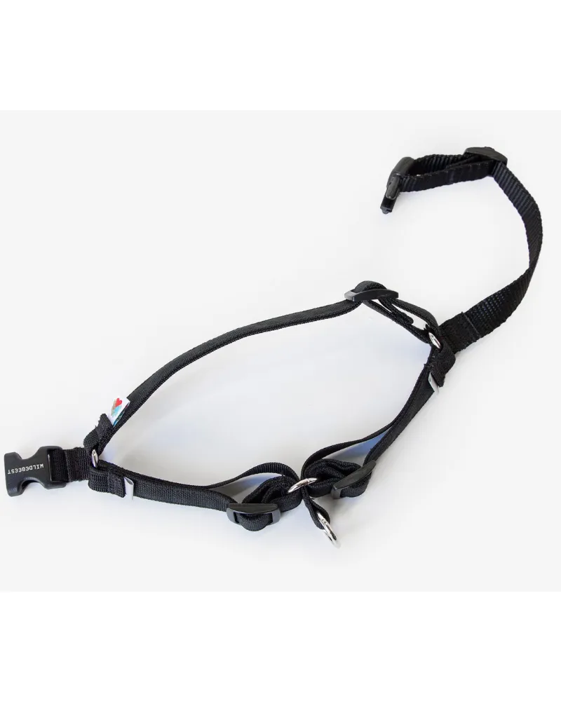 Linden No Pull Front Clip Dog Harness