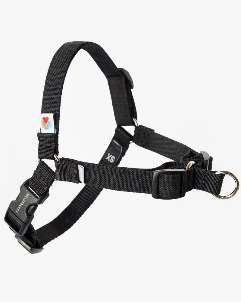 Linden No Pull Front Clip Dog Harness