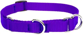 LupinePet Basics 3/4" Purple 14-20" Martingale Collar for Medium and Larger Dogs