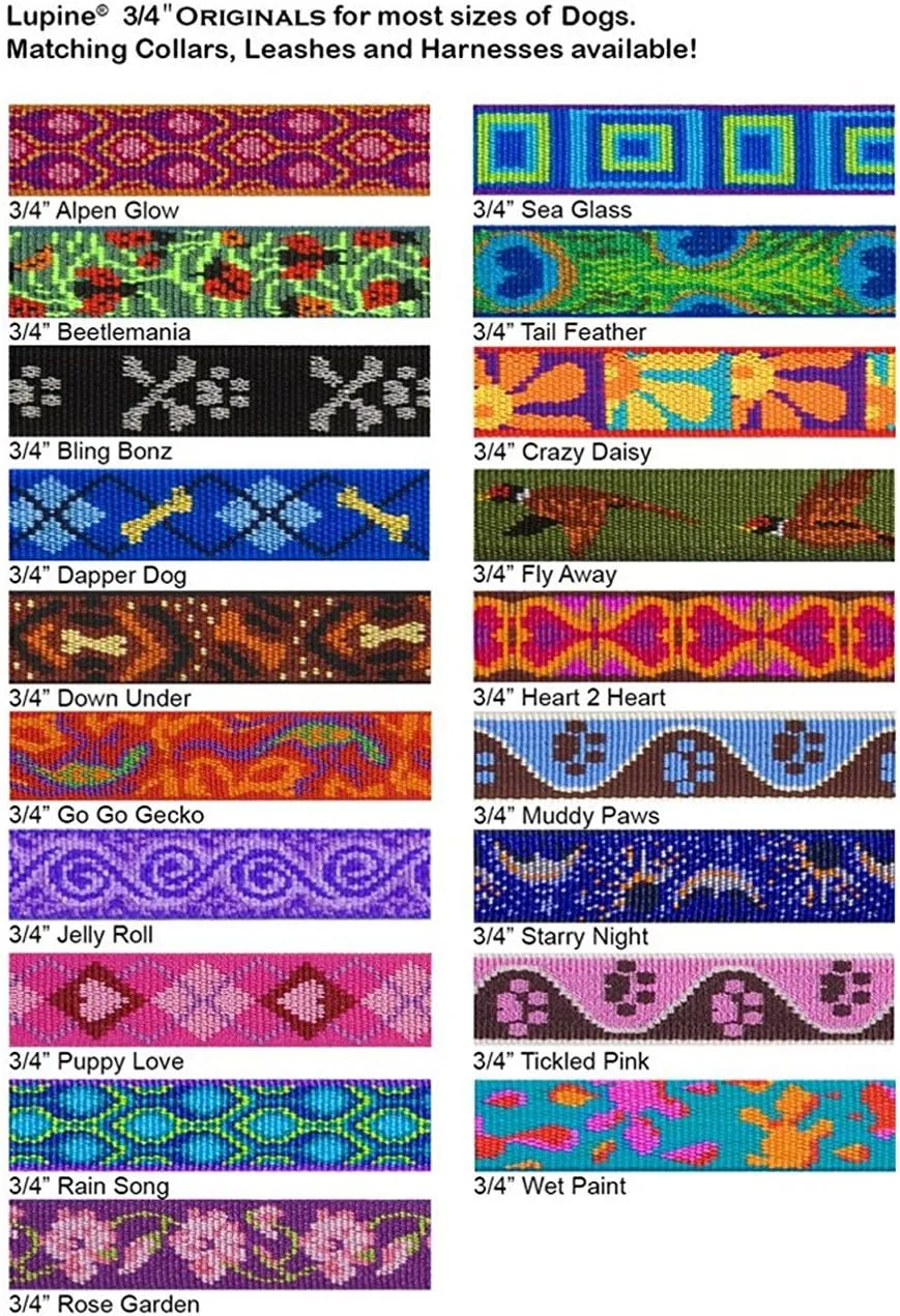 LupinePet Originals 3/4" Rose Garden 14-20" Martingale Collar for Medium and Larger Dogs