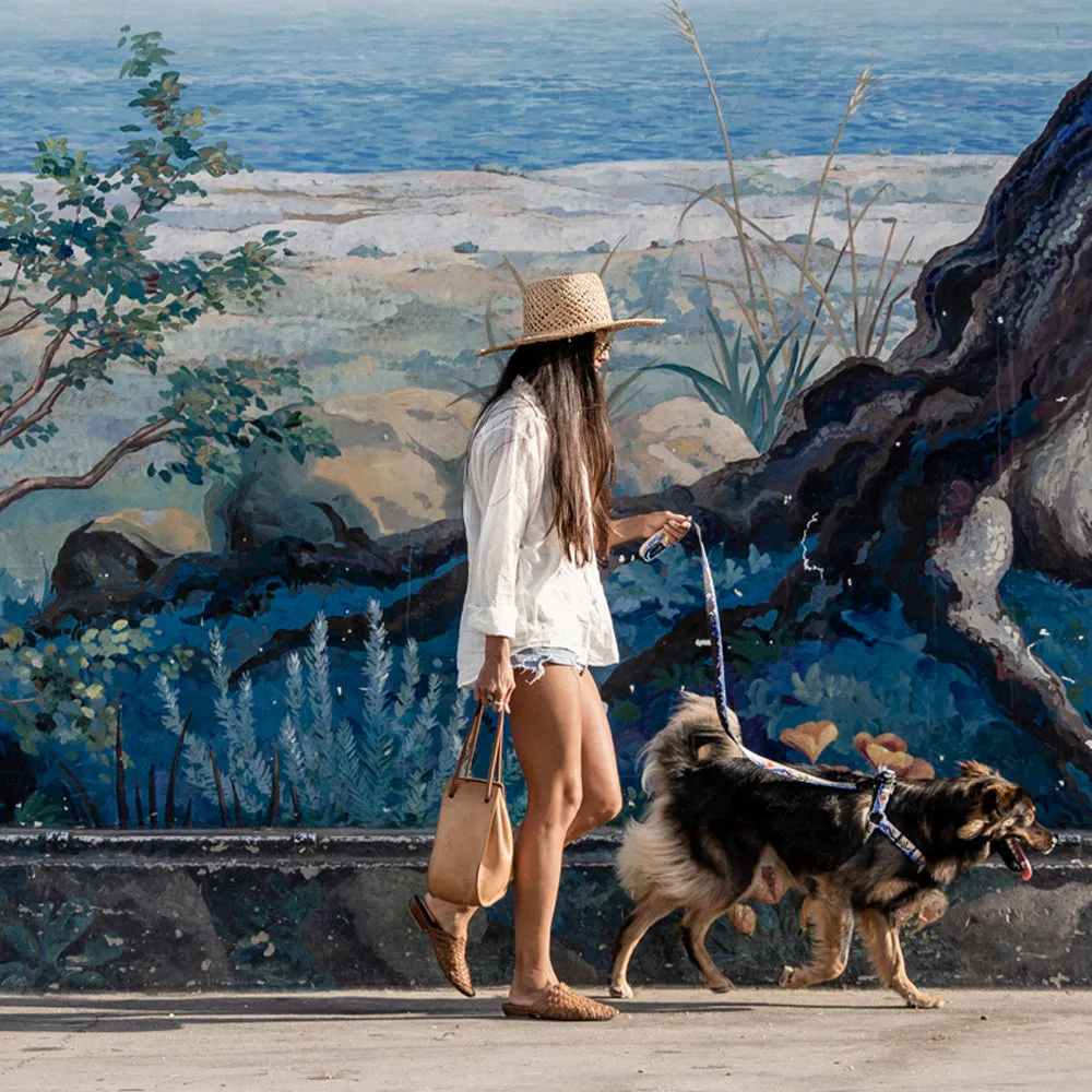 MountainWave COMFORT DOG HARNESS