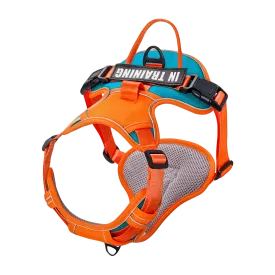 Orange Cyan Custom Canine Dog Y Harness | 2TLE