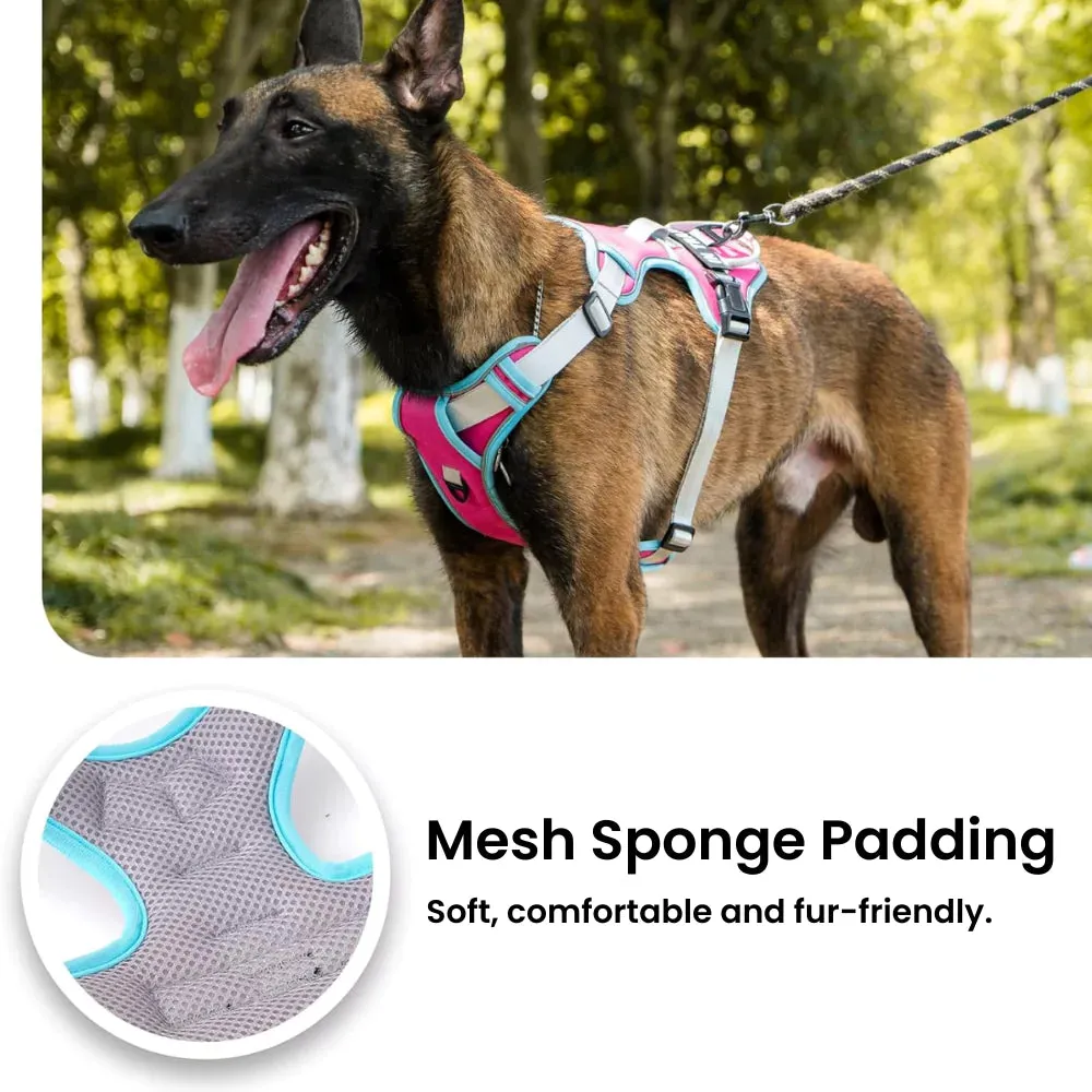 Orange Cyan Custom Canine Dog Y Harness | 2TLE