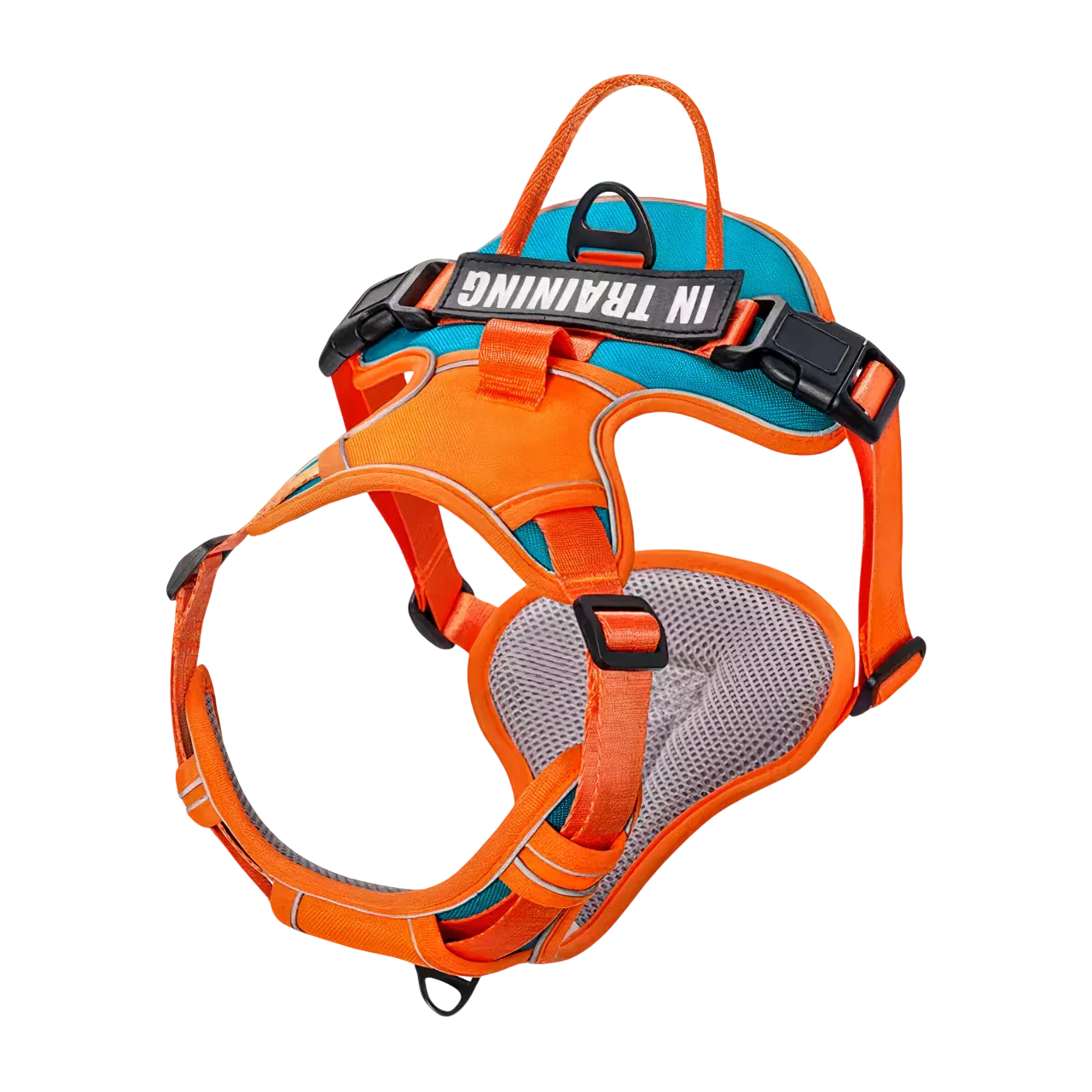 Orange Cyan Custom Canine Dog Y Harness | 2TLE