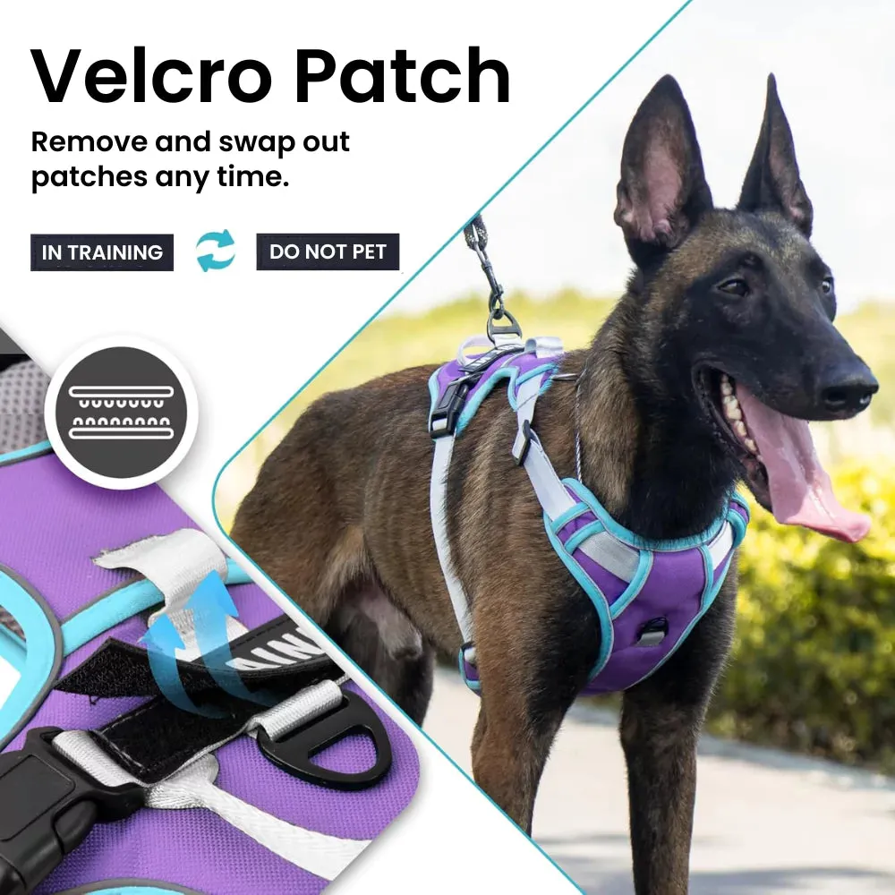 Orange Cyan Custom Canine Dog Y Harness | 2TLE