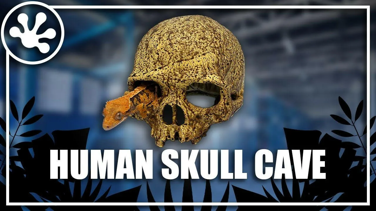 Pangea Human Skull Hide