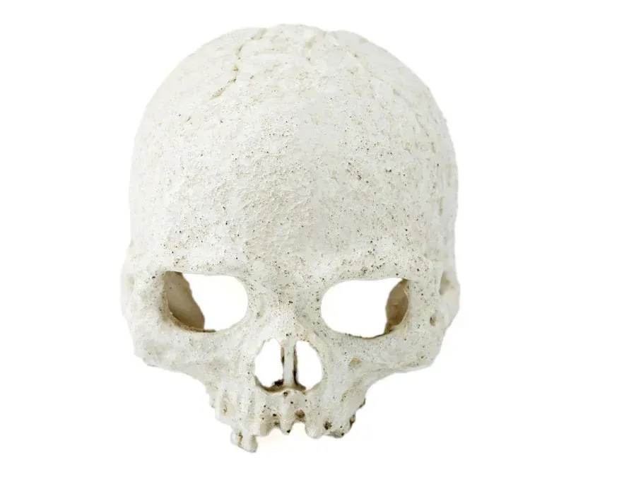Pangea Human Skull Hide