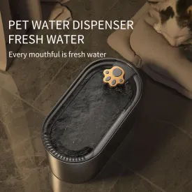 Pet Filtered Water Fountain Dispenser