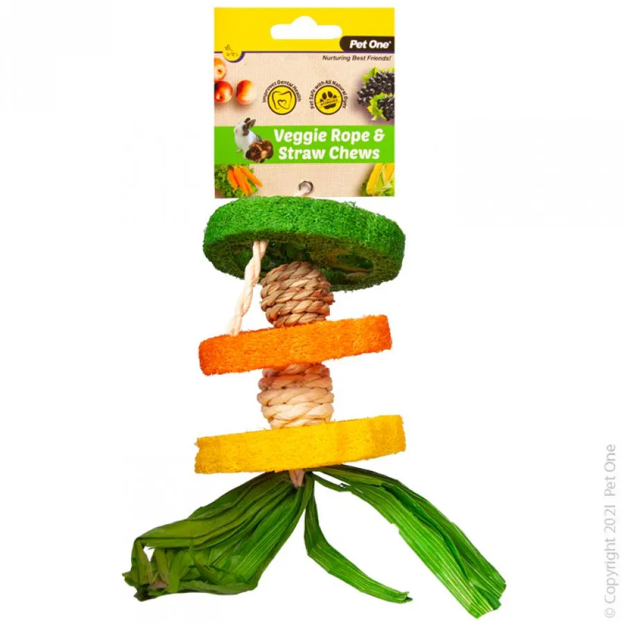 Pet One Veggie Rope and Straw Chew Hanging Hula Small Animal Toy^^^