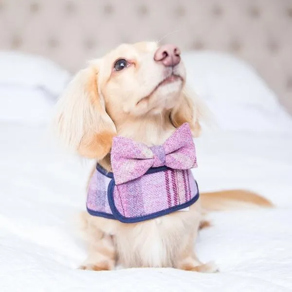 Pink Sheltie Luxury Dog Harness