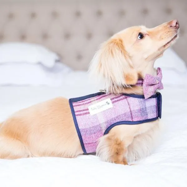 Pink Sheltie Luxury Dog Harness