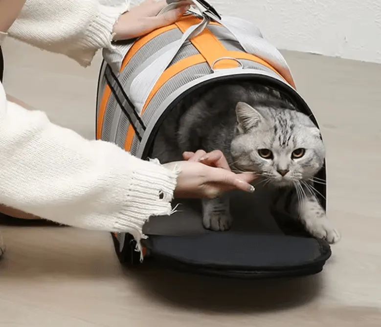 Portable Pet Carrying Bag - Foldable Mesh Handbag for Cats & Small to Medium Dogs