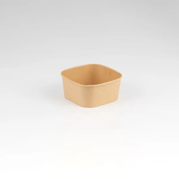 PP Coated Square Kraft Bowls x300