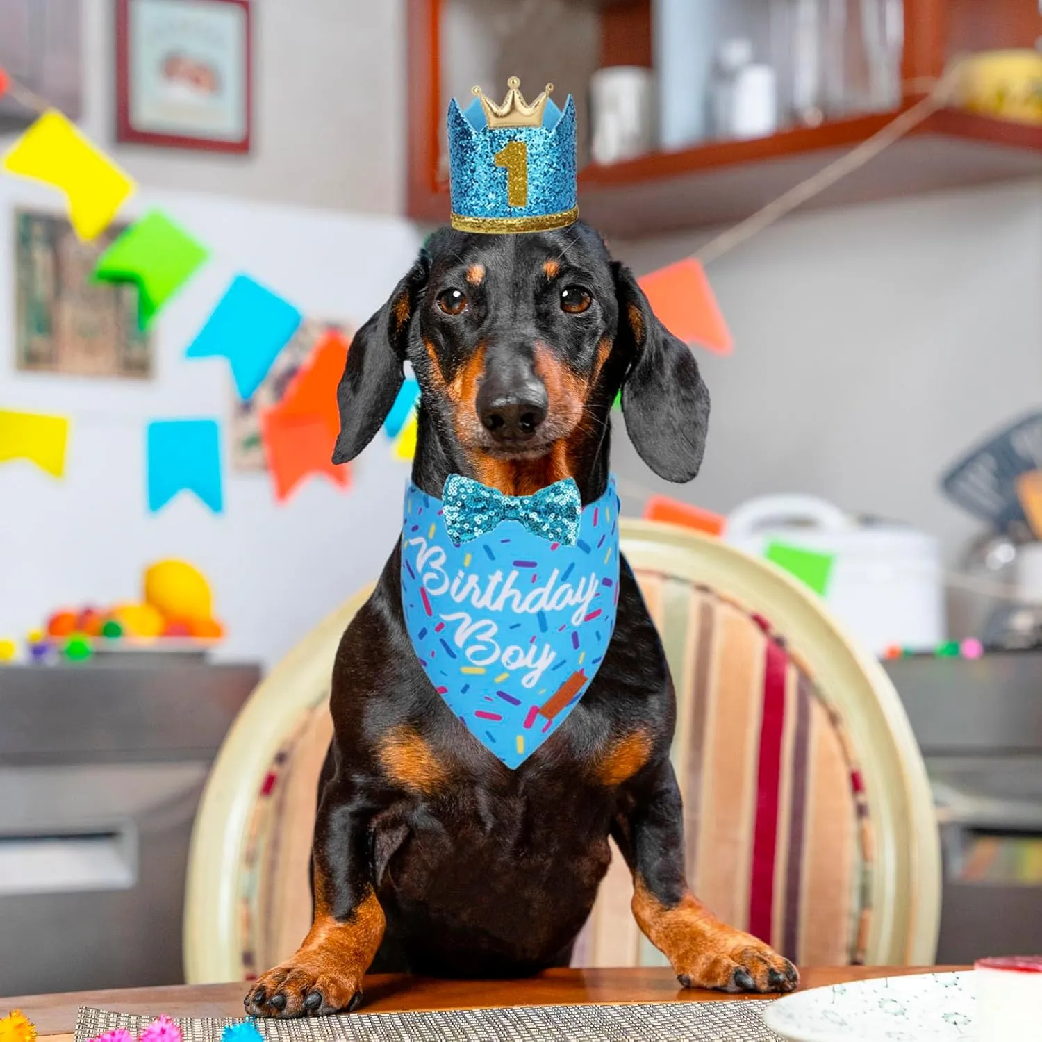 PTDECOR Dog Birthday Party Supplies, Multi Size Birthday Boy Bandana, Blue Crowns Dog Hat Set for Small Pets (Small)