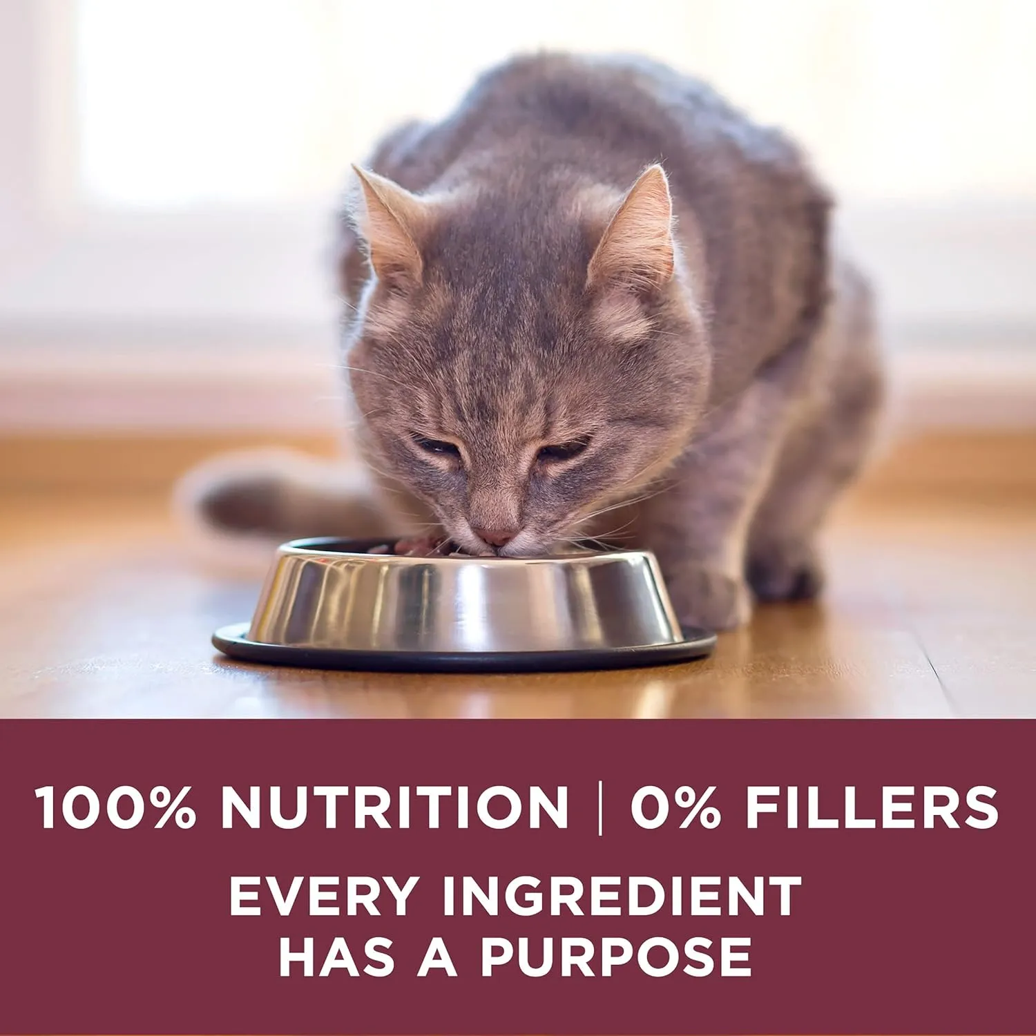 Purina ONE High Protein Dry Cat Food,  Plus Urinary Tract Health Formula - 3.5 lb. Bag