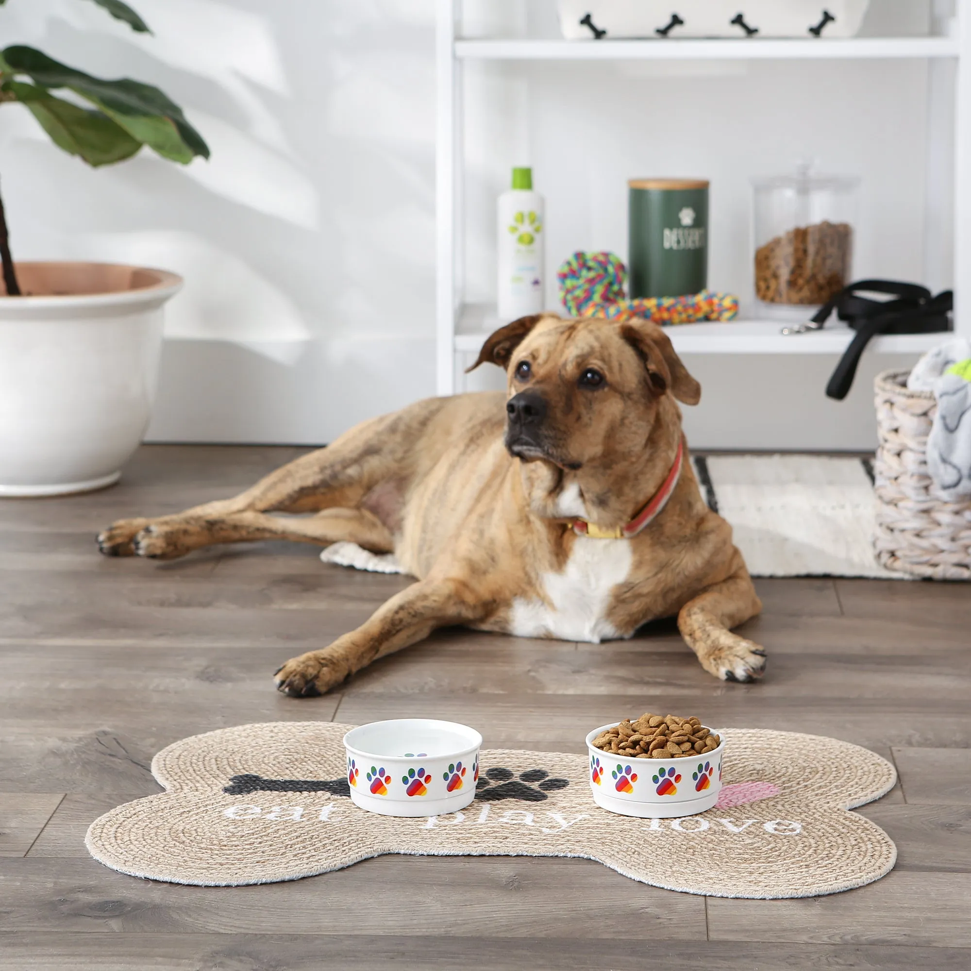 Rainbow Paw Pet Bowl Set/2, Small - 3/4 C Capacity