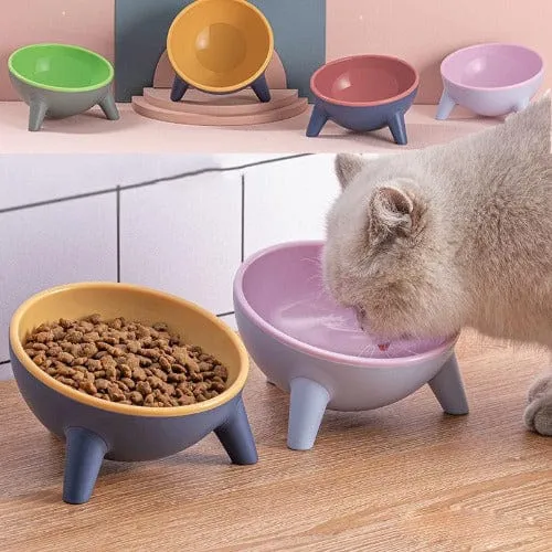 Raised Tilted Pet Bowls