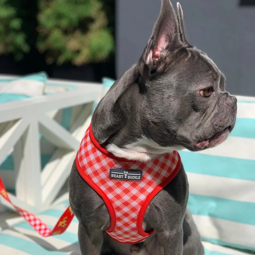 Reversible Pizza Harness