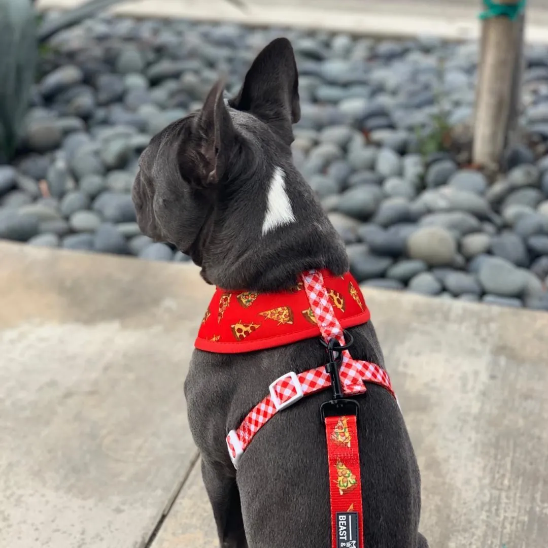 Reversible Pizza Harness