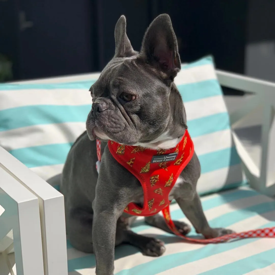 Reversible Pizza Harness