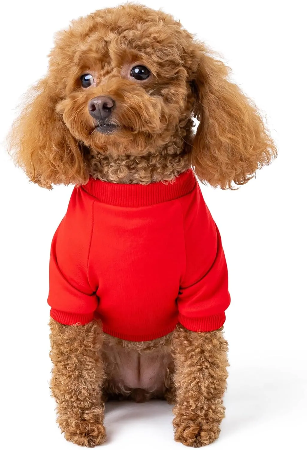 Rocky Thermal Jacket Clothes Fleece Lined Sweater for Dogs, Puppies, Warm Coat Bodysuit Onesie One Piece Vest Pet Jammies with Leg Warmers for Small, Medium, Large Dogs Cats (Red, XX-Small)