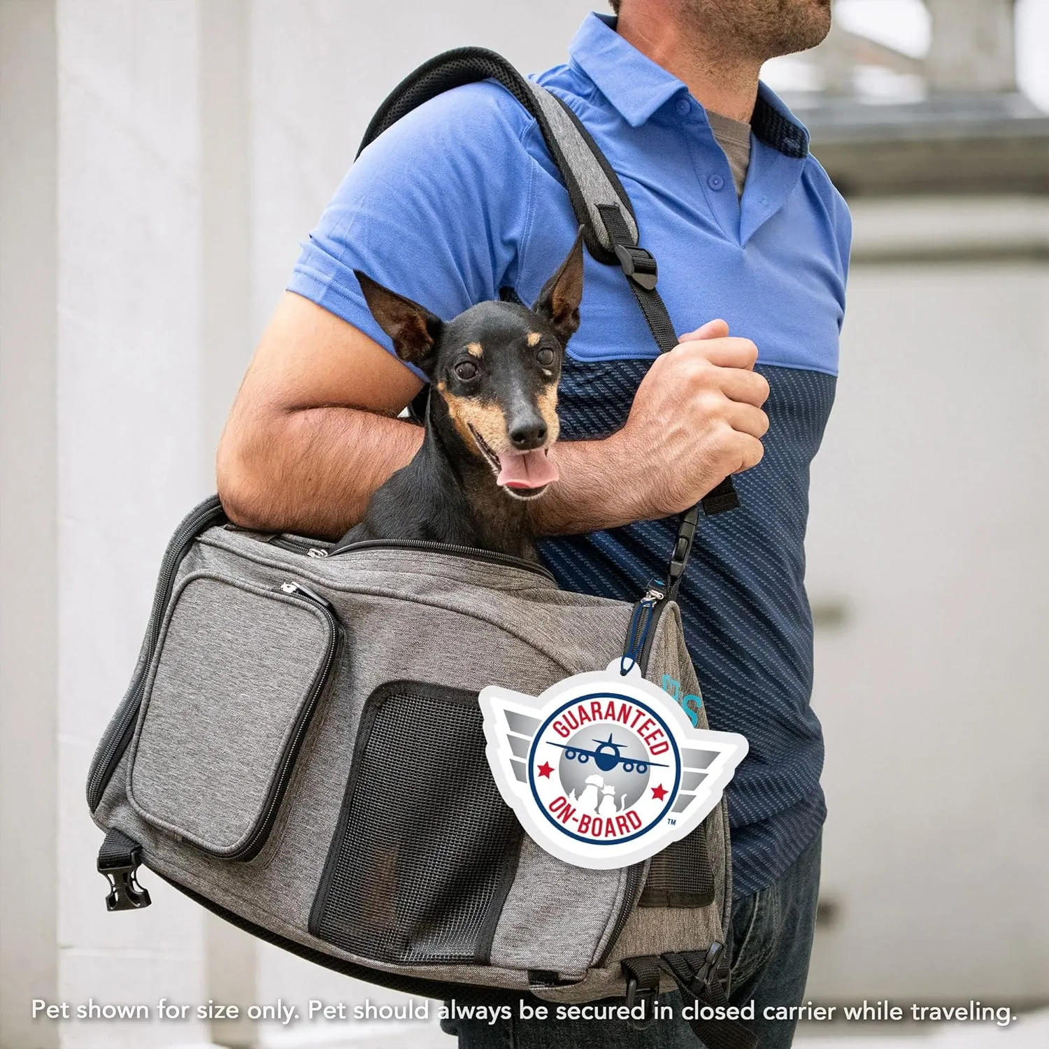Sherpa 2-in-1 Backpack Travel Pet Carrier, Airline Approved & Guaranteed On Board - Gray, Medium