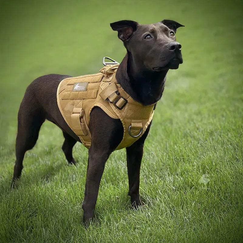 SSGLex™ Harness | Escape Proof Dog Harness