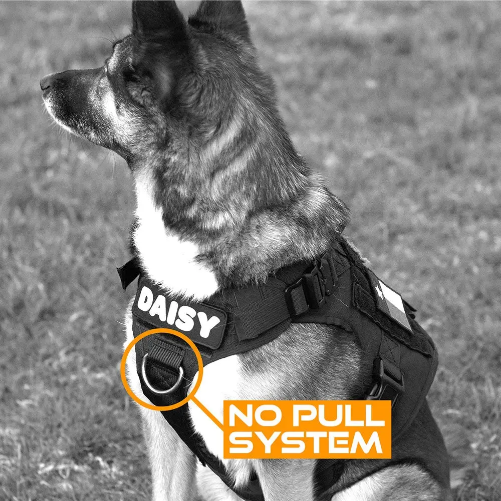 SSGLex™ Harness | Escape Proof Dog Harness