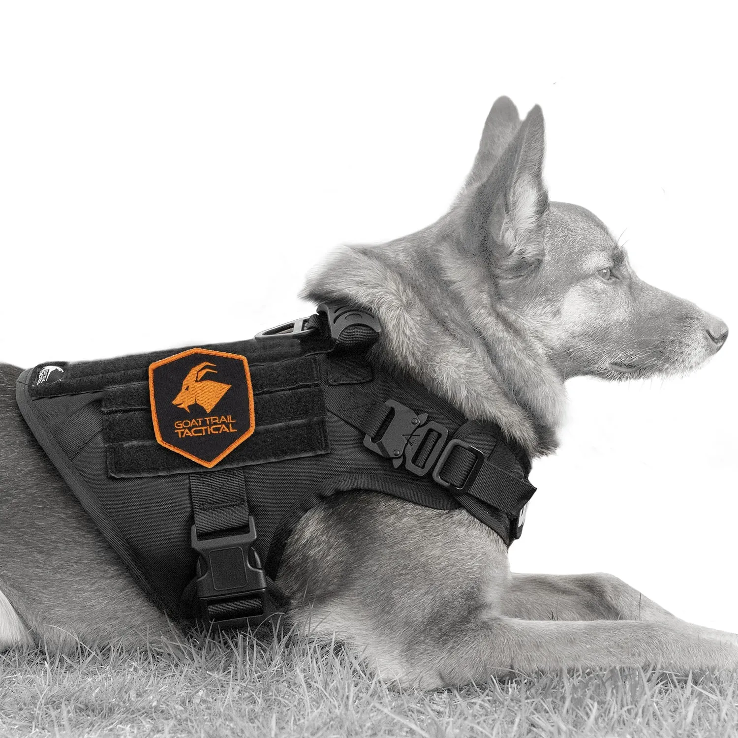 SSGLex™ Harness | Escape Proof Dog Harness