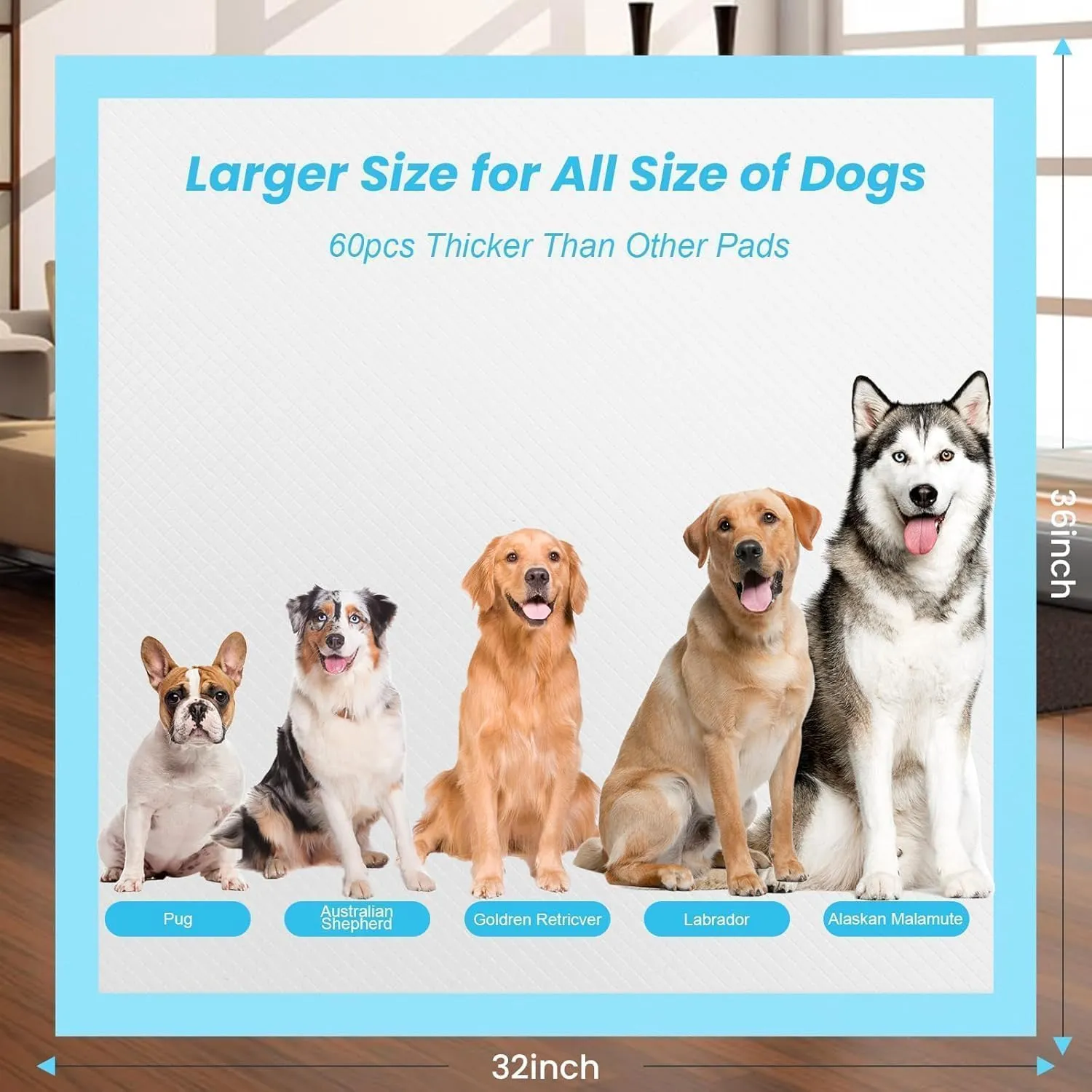 XXXXL Puppy Pee Pads for Dogs 32"x36" 60 Count, Extra Large Dog Pee Pads, Leak-Proof & Super Absorbent Dog Pee Pads, Thicken Disposable Potty Pads Puppy Training Pads for Cats Rabbits